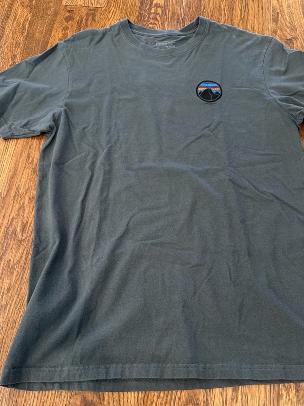 Patagonia Slate Gray Short-Sleeve Tee with Small Landscape Patch